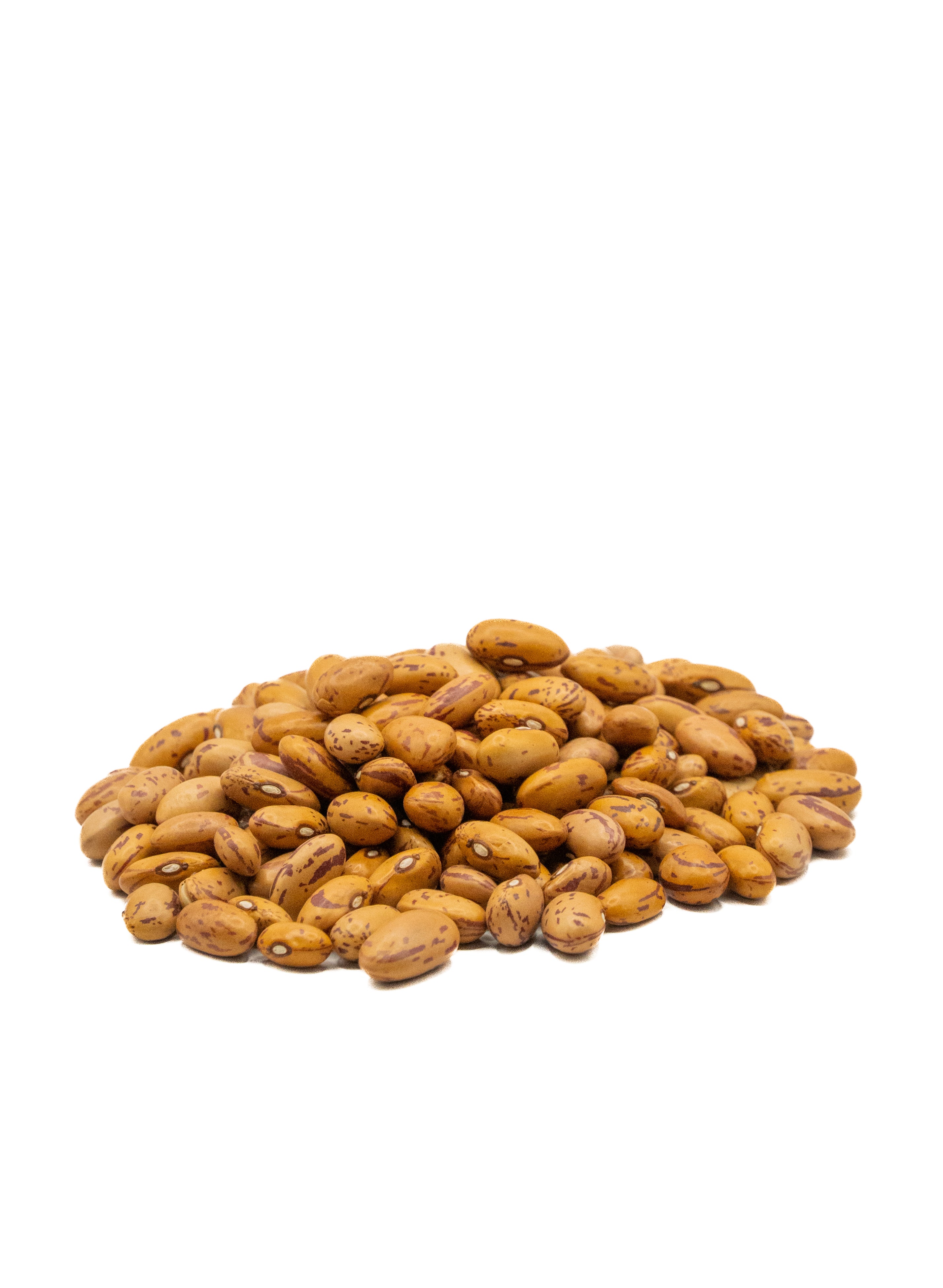 Fasolia Isogano Round (1kg) - Lebanese Roaster - Roasted Coffee - Raw Coffee - Premium Nuts - Roasted Nuts - Healthy Mixes - Spices - Herbs - Rifai - Daima - Dried Fruits