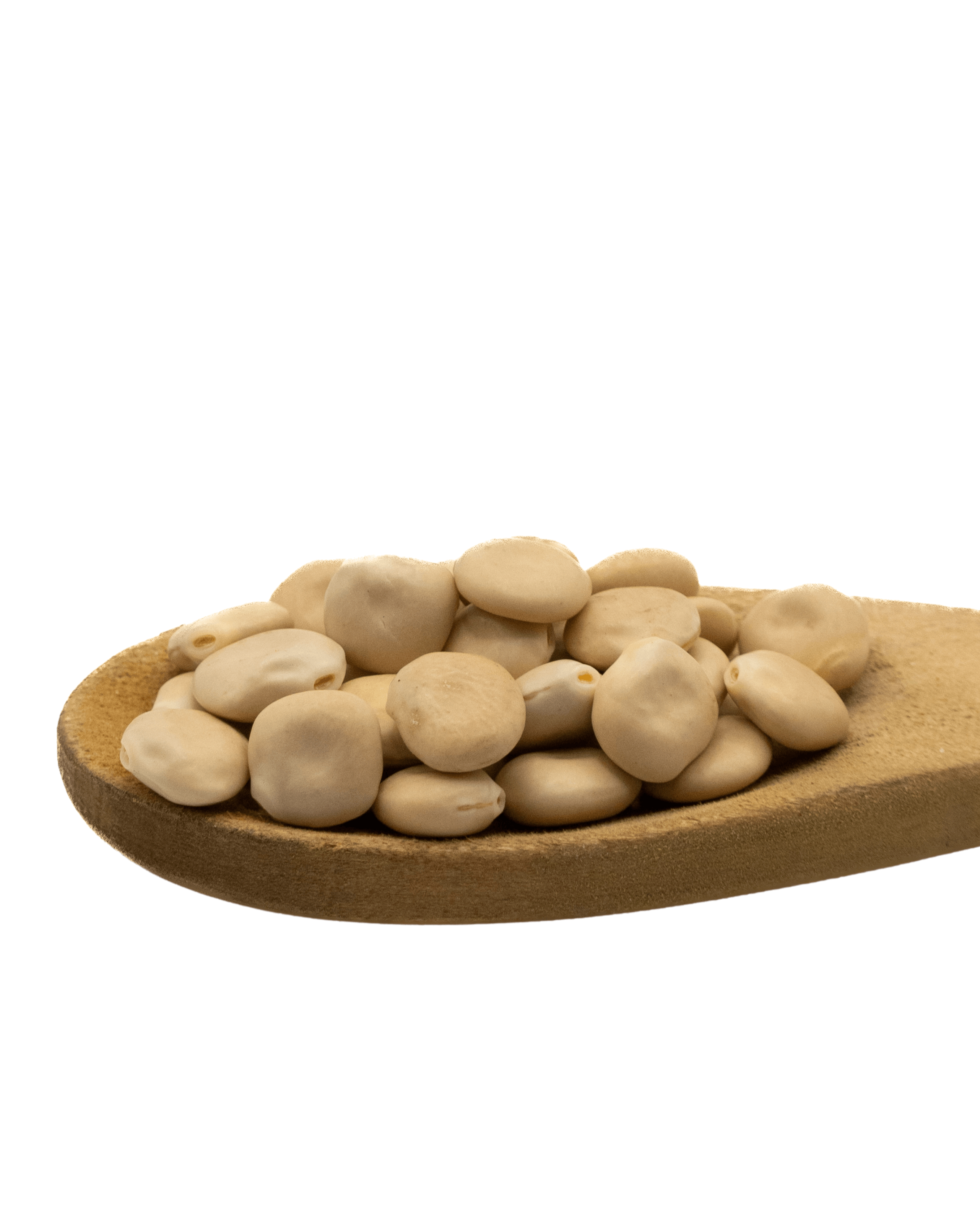 Lupin Beans Jumbo (1kg)