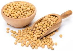 Soya Beans  1kg